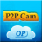icon P2PIPCam 31.0