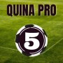 icon Quina Pro