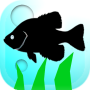 icon Fishing Traveler pour Evolveo StrongPhone G4