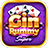 icon Gin Rummy Super 0.4.97