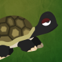 icon Grumpy Turtle pour Micromax Unite 4 Plus
