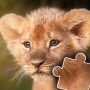 icon Animal Puzzles