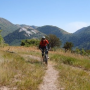 icon Mountain Bike Mayhem