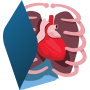 icon EB: Human Anatomy
