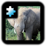 icon Elephant