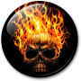 icon Skulls Live Wallpaper pour Samsung Galaxy Note T879