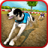 icon Dog Race n Stunts 2016 1.4