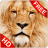 icon Animal Sounds 13.6