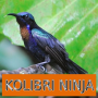 icon Master Kicau Kolibri Ninja pour intex Cloud Fame