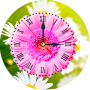 icon Daisy Clock LWP