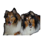 icon Dog Training pour Prestigio Muze B7