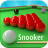 icon Snooker Online 16.1.1