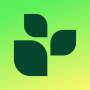 icon Lifesum
