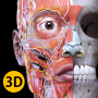 icon Anatomy 3D Atlas pour karbonn K9 Smart Selfie