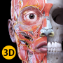 icon Anatomy 3D Atlas pour Xiaomi Mi 8