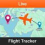 icon Flight Status