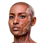 icon Complete Anatomy 2024 pour Inoi 6