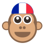 icon Learn french easily - Offline french translator