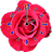 icon Rose Clock 2.0