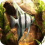 icon HD Aquarium Live Wallpaper 3D pour Black B3 Fox+