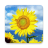 icon Sunflower 1.1.5