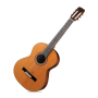 icon SteelString Guitar