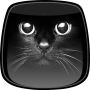 icon Black Live Wallpaper