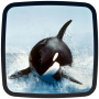 icon Orca Live Wallpaper