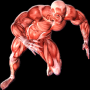 icon GYMExerciseTutorial