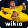 icon FANDOM for: Pro-Wrestling pour Samsung Galaxy Express I8730