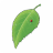 icon su.sovietgames.everlasting_summer 1.8