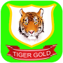 icon Tiger Gold