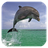 icon Dolphin 3d. Video Wallpaper 1.01