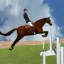 icon SteeplechaseHorse Jumping