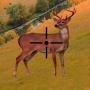 icon Deer Sniper Hunter 2015-FPS