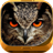 icon Night Owl Wallpaper HD 1.0.4