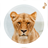 icon Animal Sounds Ringtones 1.5